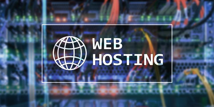 Finding an SEO-Friendly Web Hosting Provider